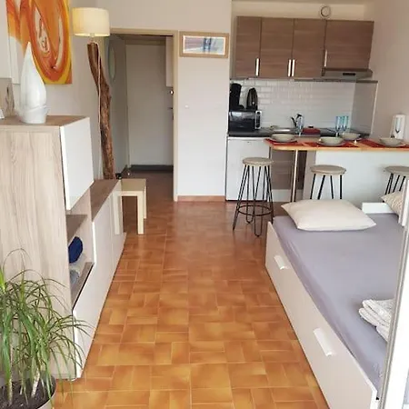 Meuble Climatise Centre Port Cap D'agde Διαμέρισμα *